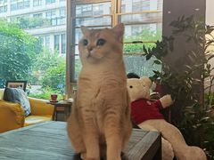 -咖法森林·咖啡  酒吧(天河店)