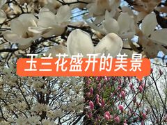 -护国法轮寺