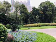 -广州珠江公园