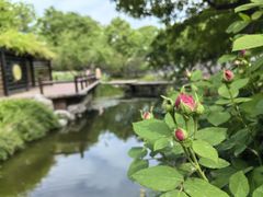 -三里河公园