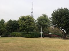 -文华公园(禅城区)