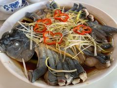-煲来饱去冷水鱼