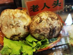 -易门野生菌府·菌海森林(月牙潭公园店)