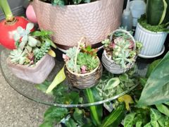 -FEI FEI FLOWER鲜花店·气球派对·宝宝宴布置(虹口德必运动Loft店)
