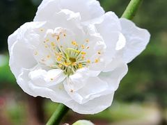 -桃花涧