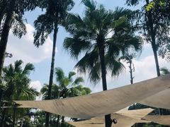 -重庆海昌加勒比海水世界