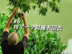 -长洲岛