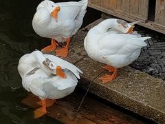 -苏州碑刻博物馆