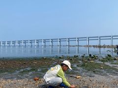 -黑石礁公园