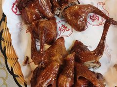 -百利鸽王(紫薇路店)