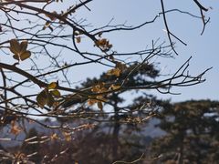 -香山公园