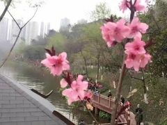 -重庆彩云湖湿地公园