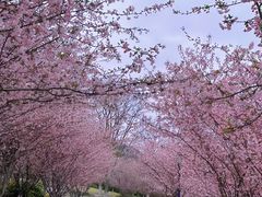 -南山风景名胜区