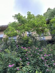 -尚圣月子会所·庄园式月子中心(萧山湘湖店)