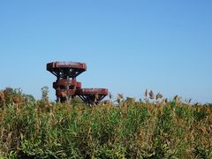-芒洲湿地公园