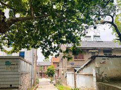 -冶山国家矿山公园
