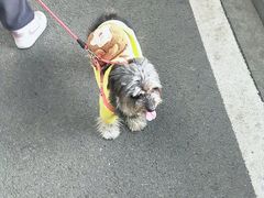 -西北湖绿化广场