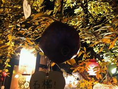 -四喜小胖·北京涮肉(五道营店)