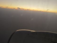 -大湾区中央湿地公园