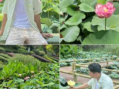 -广州莲花山旅游区