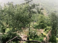 -幽岚山·童话森林