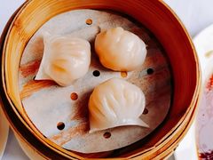 喜粤虾饺皇-喜粤8号(四海唐人街店)