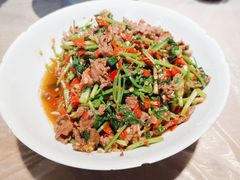 香菜炒牛肉-壹盏灯(蚂蚁工房店)