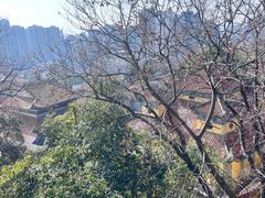 -宝通禅寺