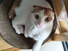 -泉州海丝野生动物世界