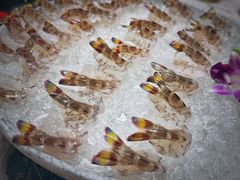 -富来美食(成发大厦店)