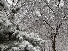 -三旗百汇商品城