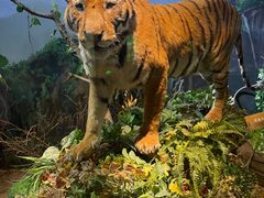 -陕西自然博物馆