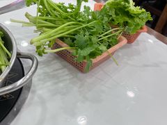 -专业跳跳蛙·彭彭老铺(步行街店)