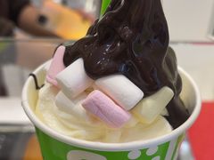 -Salud撒露欧洲冻酸奶(蓝色港湾店)