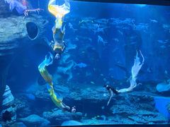 -多彩贵州城极地海洋世界