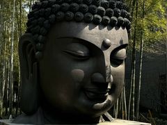 -杭州植物园