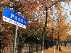 -八大关景区