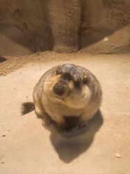 -酷嗒动物文化乐园(cutezoo西溪乐天城店)