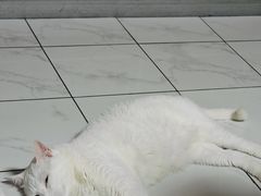 -台州嵌糕(广八路店)