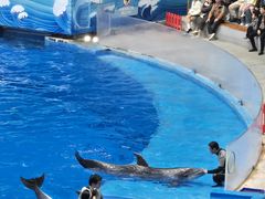 -海合安成都极地海洋公园