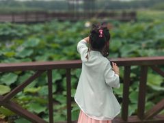 -荷塘月色湿地公园·向阳花洲
