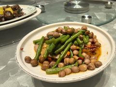 -朱记乳鸽王·非遗石岐乳鸽·全鸽宴(大兴旗舰店)