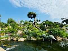 -罗红摄影艺术馆