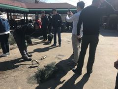 -京北渔家傲