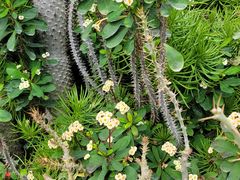 -国家植物园南园