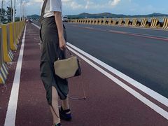 -汕尾风车岛