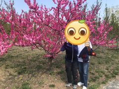 -廊坊市自然公园