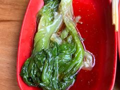 有机生菜-光明刘冰乳鸽店(光明法政北路店)