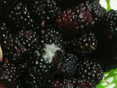 门面-大润发(明珠店)