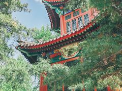 -宣武艺园